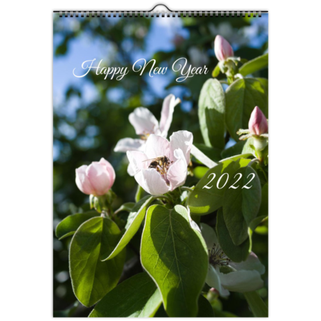 2022 Insect Photo Wall Calendar Cover Page