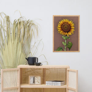 sunflower - tusche drawing - aquarelle painting - framed matte paper poster